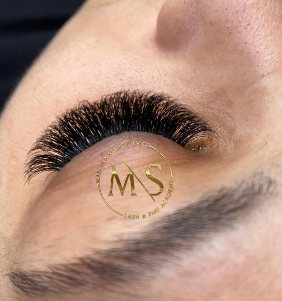 Our Courses 3 Basic Course EyeLashes Extension reading